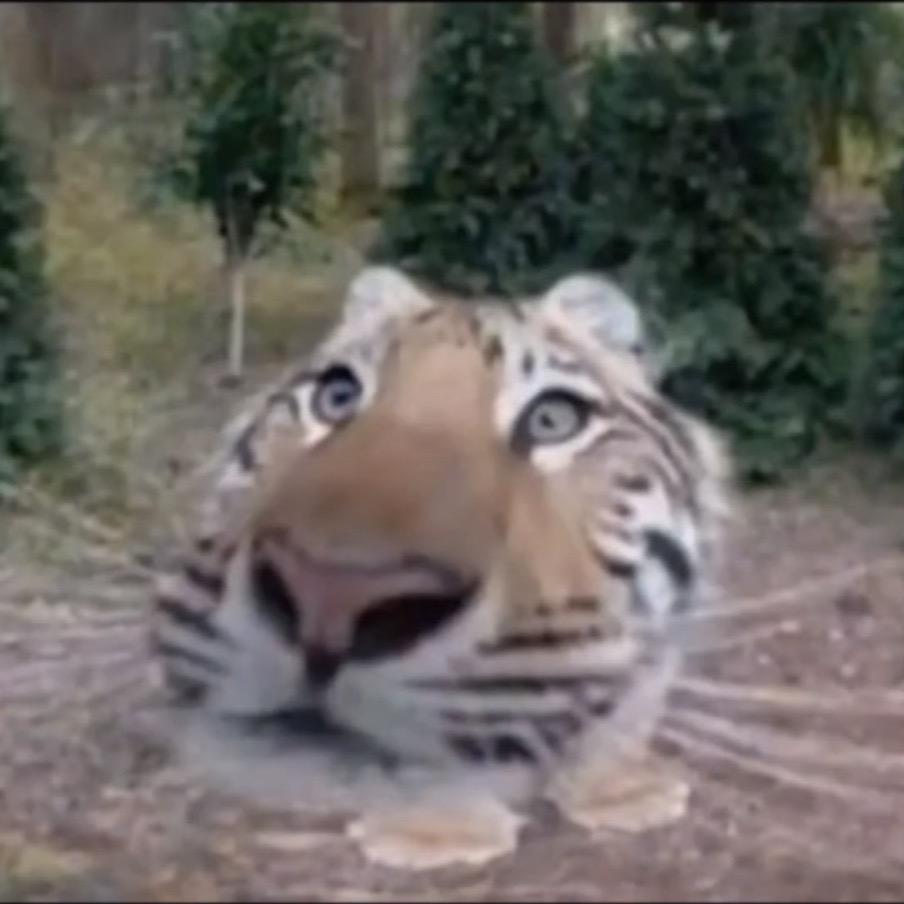 兄弟叫疼我装聋