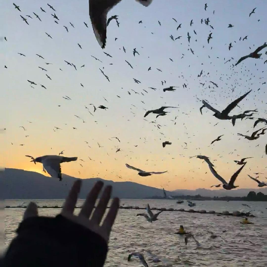 香蕉不呐呐、
