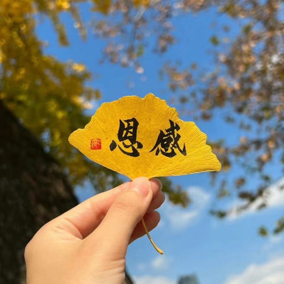 尧尧   回味往昔