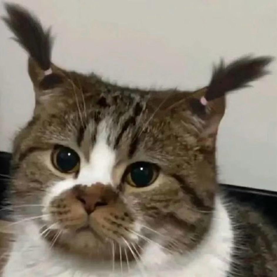 小高～