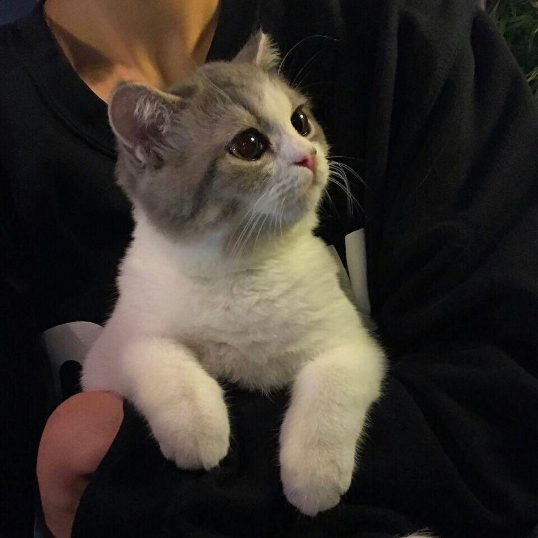 不太乖🐰
