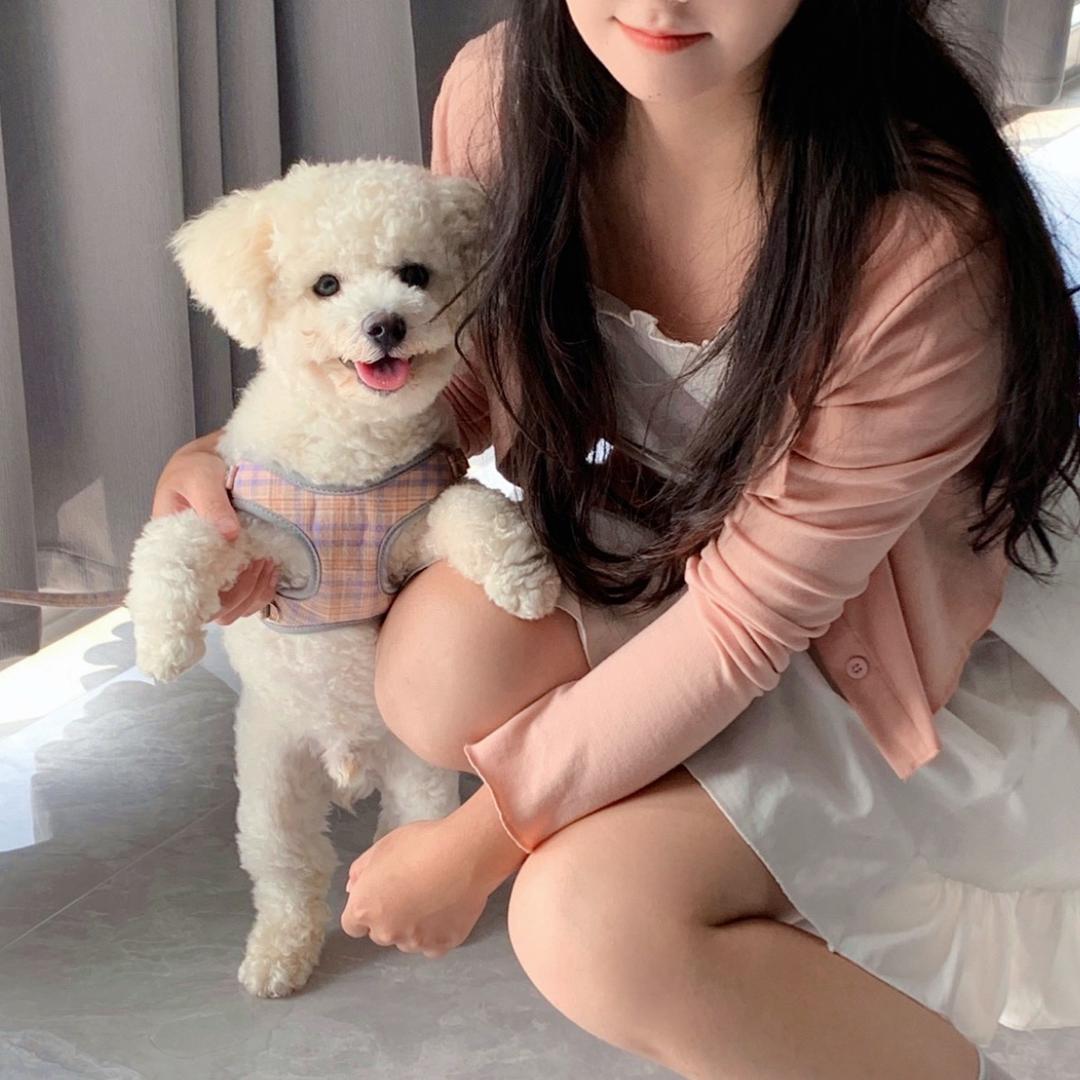 小泡丁与波妞妞