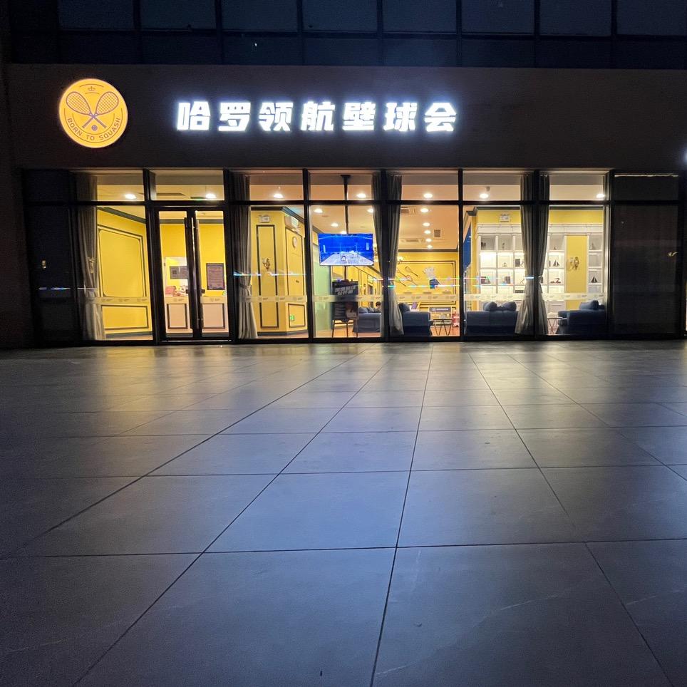 深圳哈罗壁球会