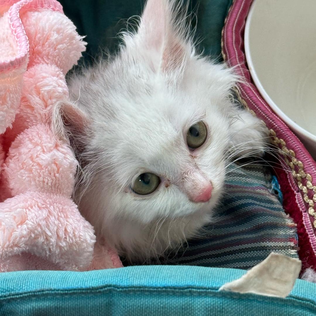 恭喜发财😊😊