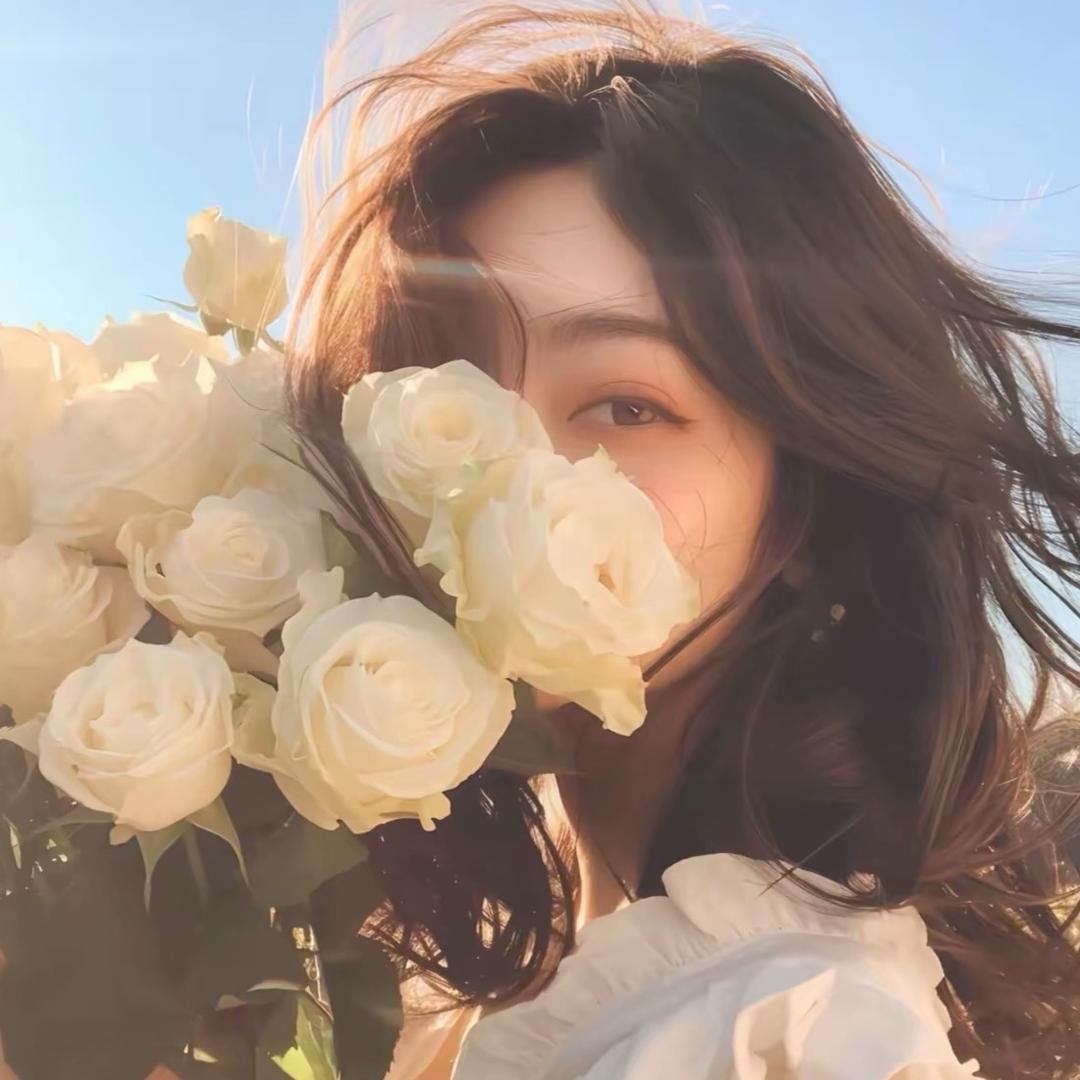 想去北极看极光