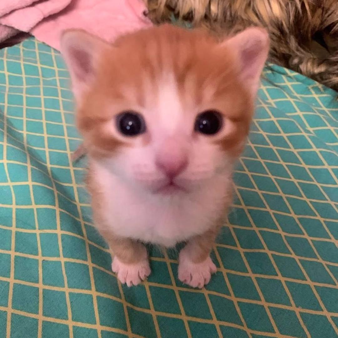 uuu