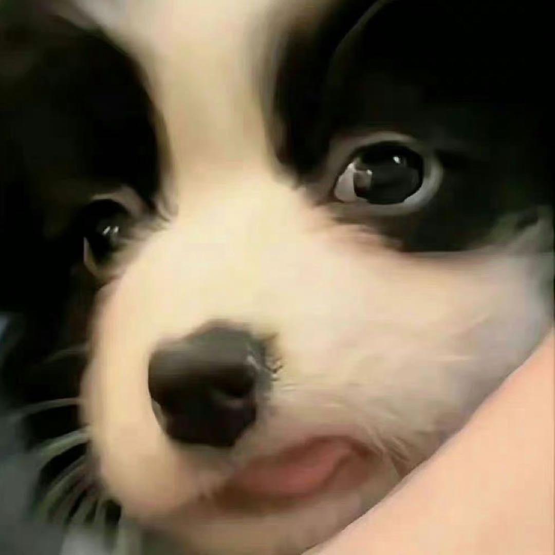 之恩