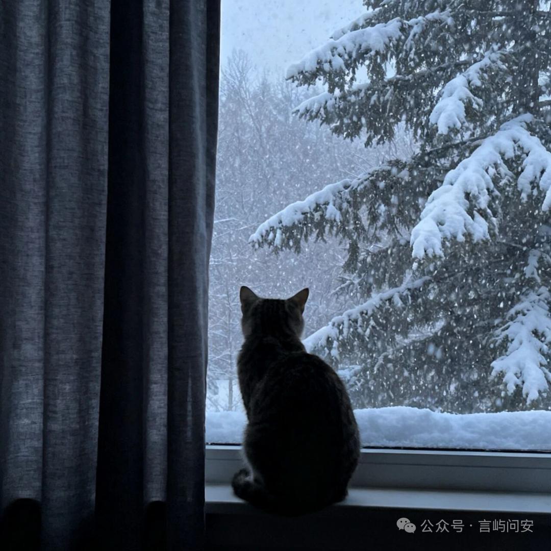 〇