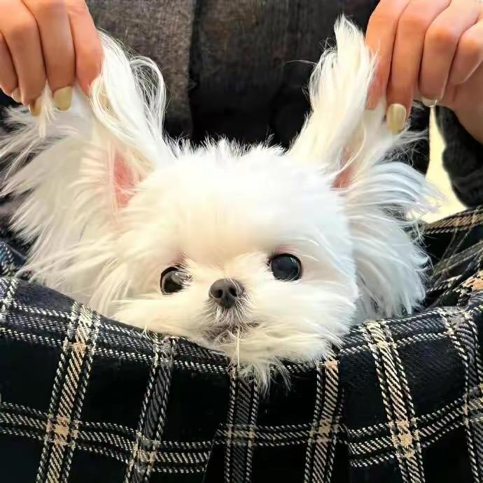 丶晚风