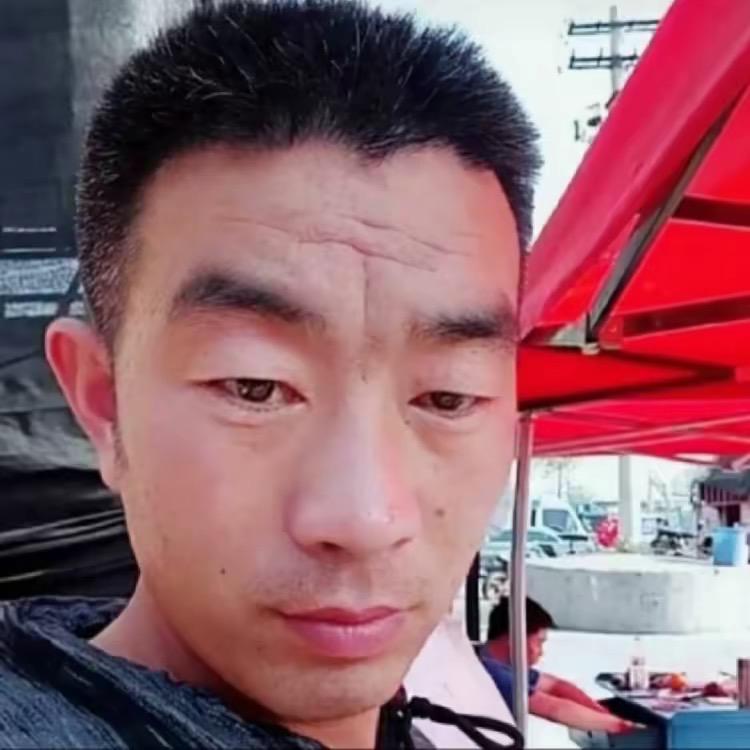河北沧州开卡车的宝哥的头像