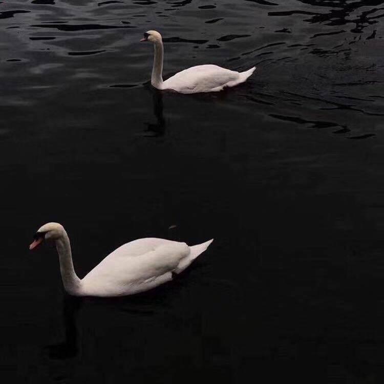 玩音乐的张老师