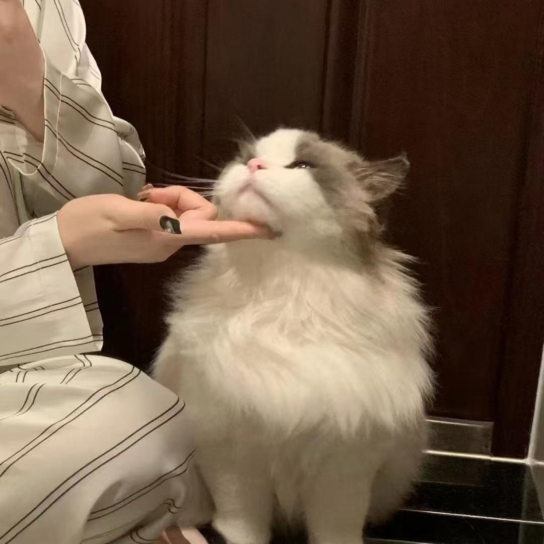 一年又一年加油