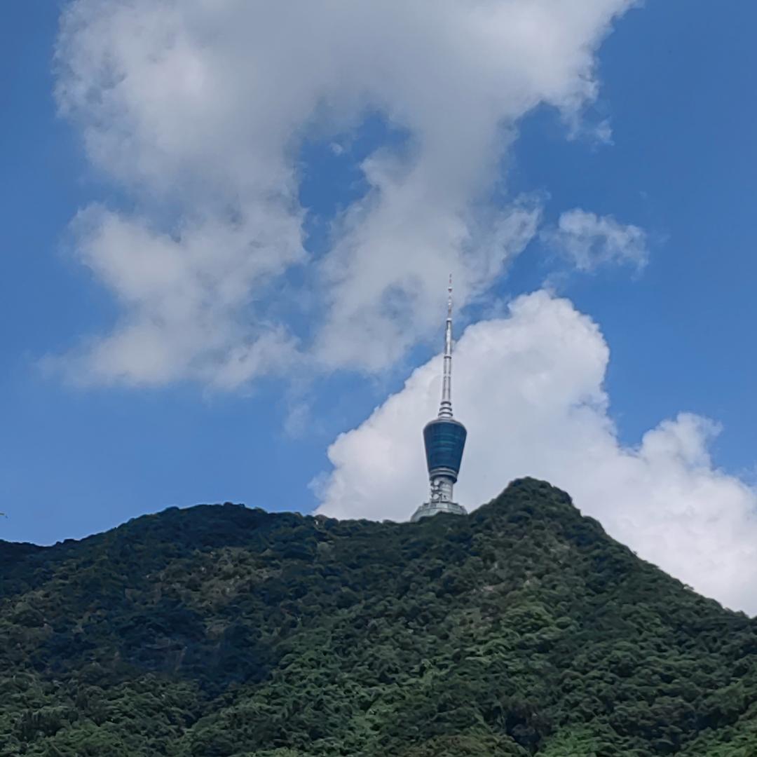 致富小磊哥
