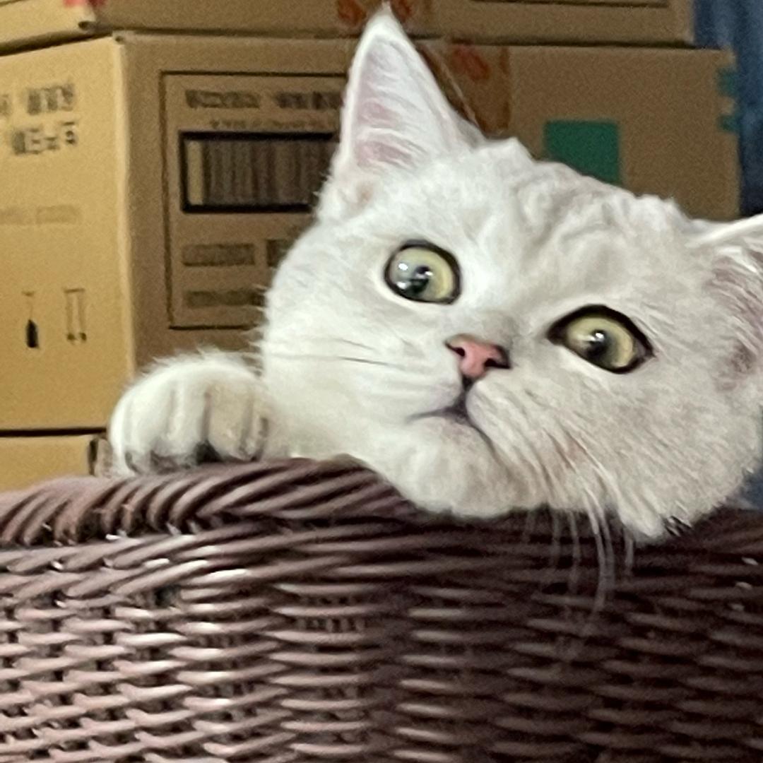 o