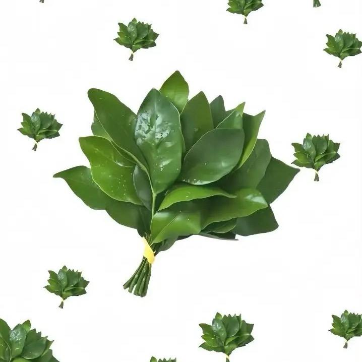 煮锅锅窑养你