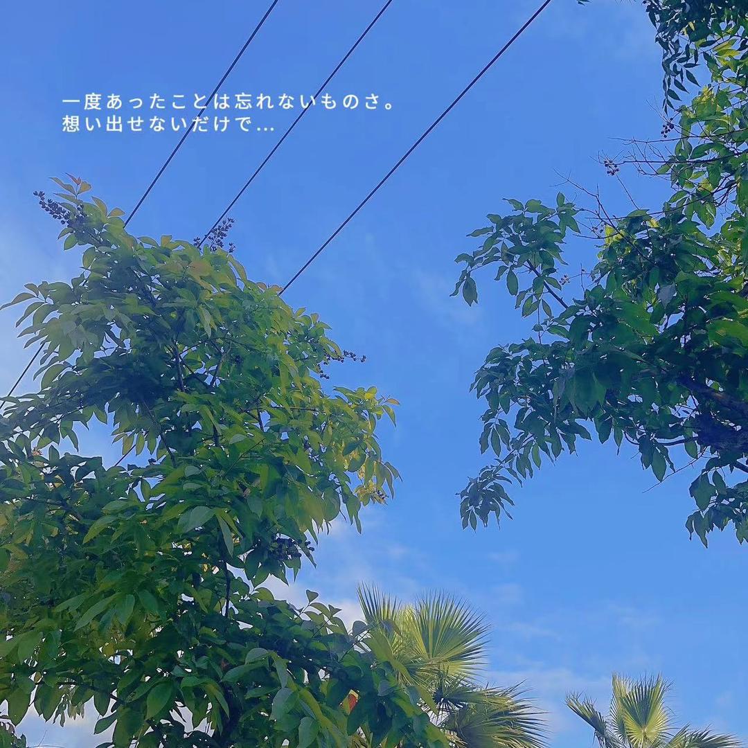 不用名字