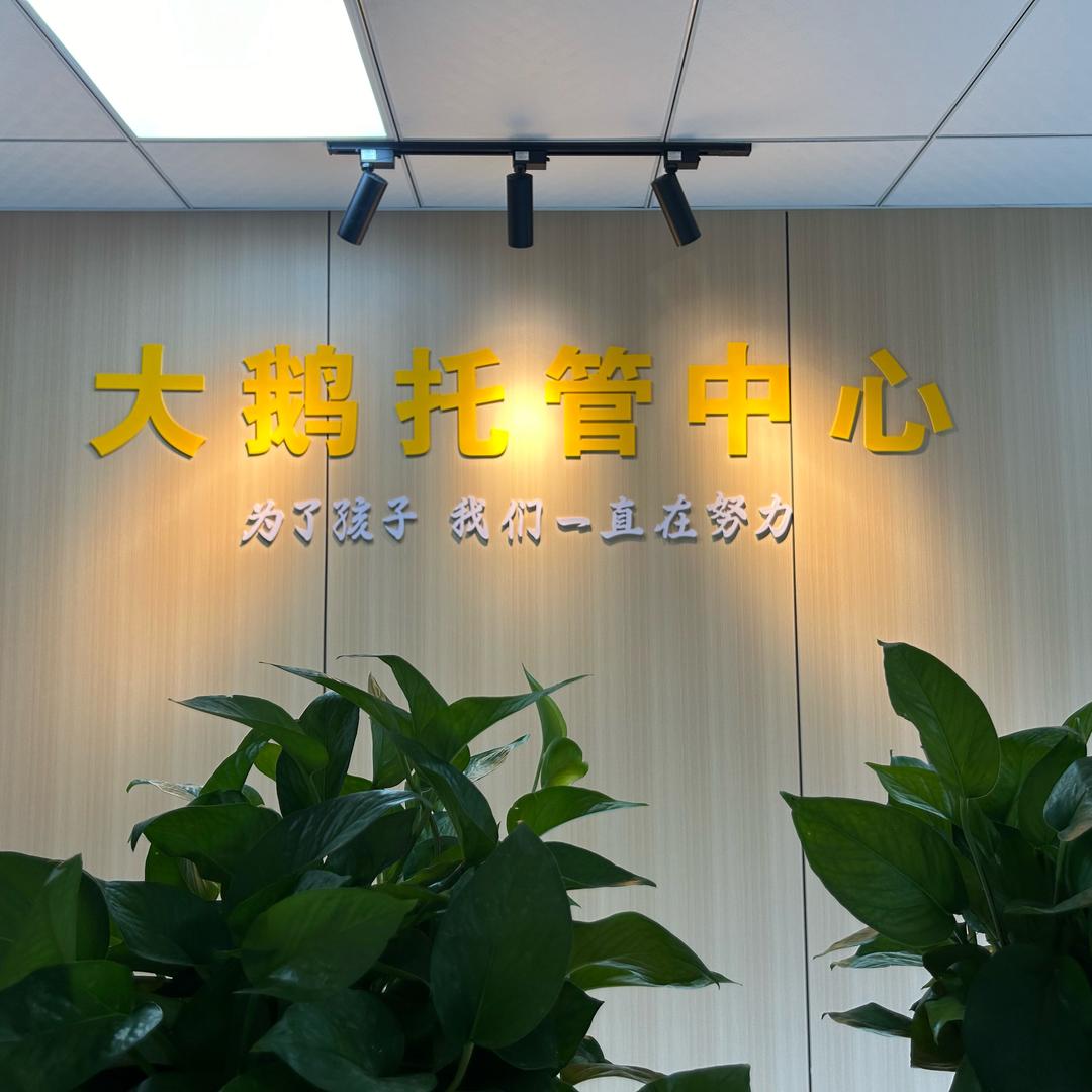 庐江大鹅高端托管服务！