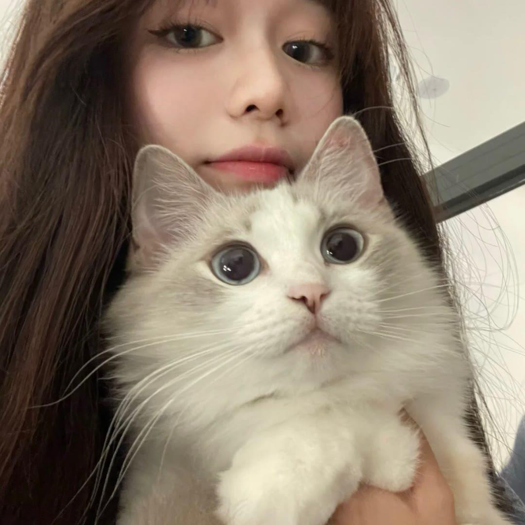 愿.
