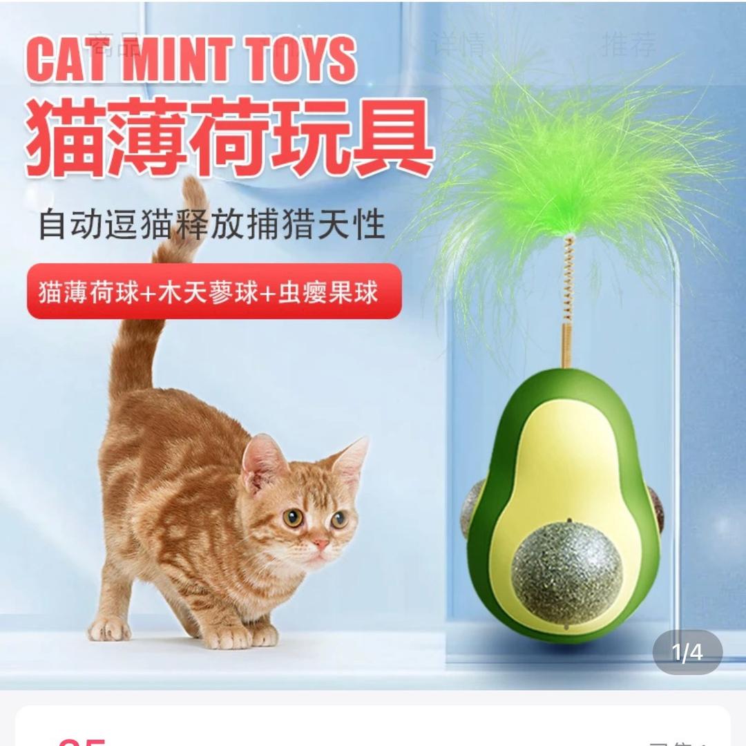 宠贝天宠物用品专营店