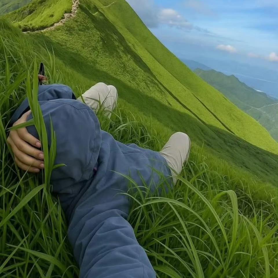 喂