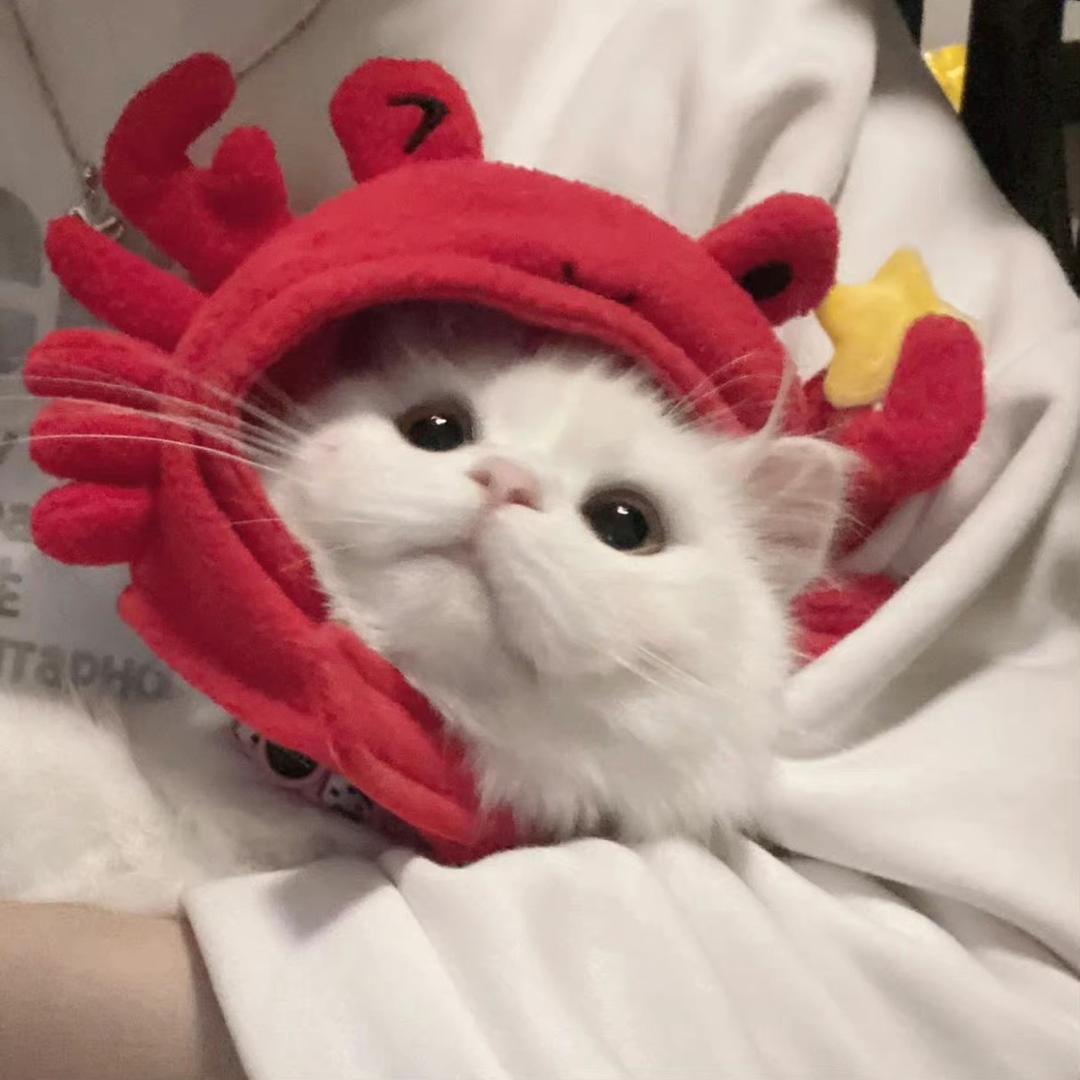 不二嘉