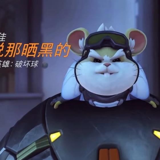 🤡她说让我好好上班🫥