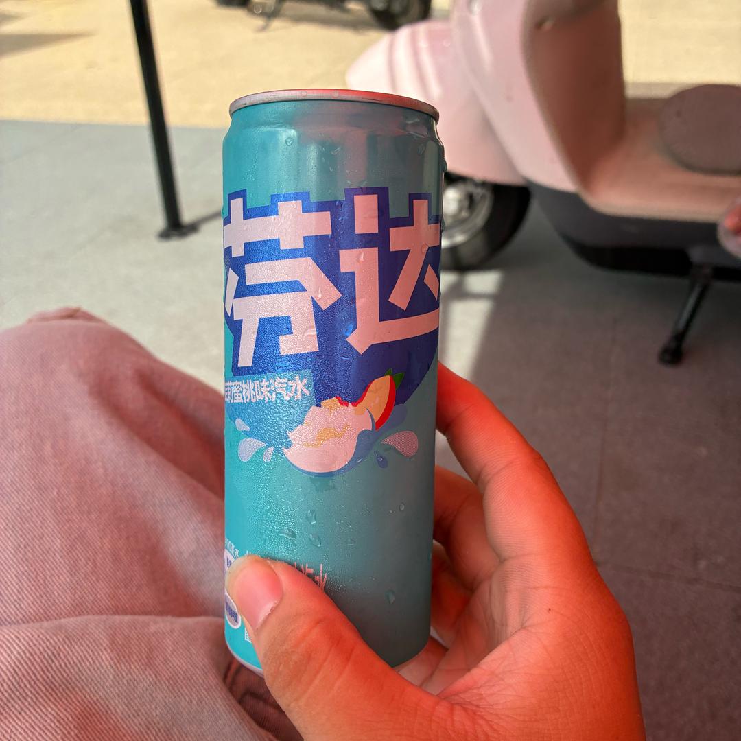 IEGO小狼