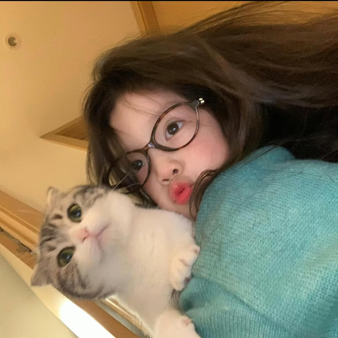 -晚安欣-