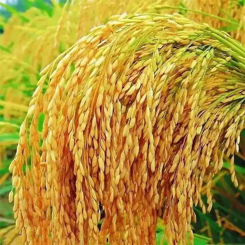 寿润农农资服务
