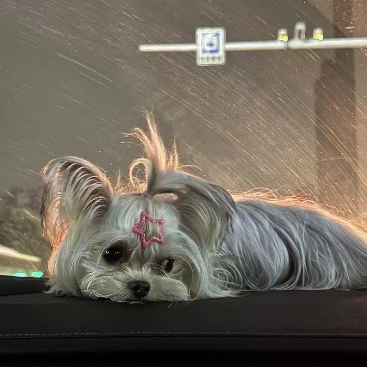 (๑˃̵ᴗ˂̵@)气泡水恶魔