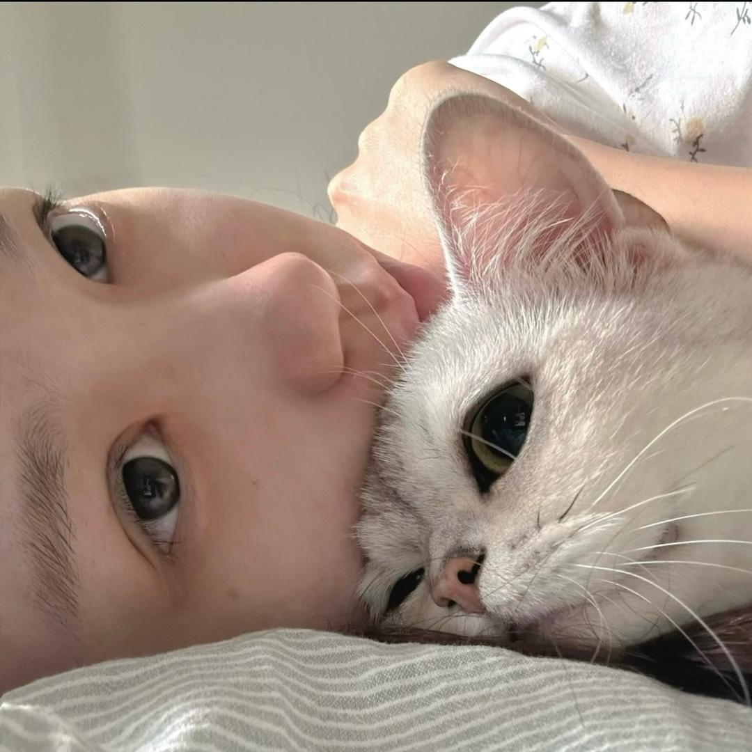 半只羊