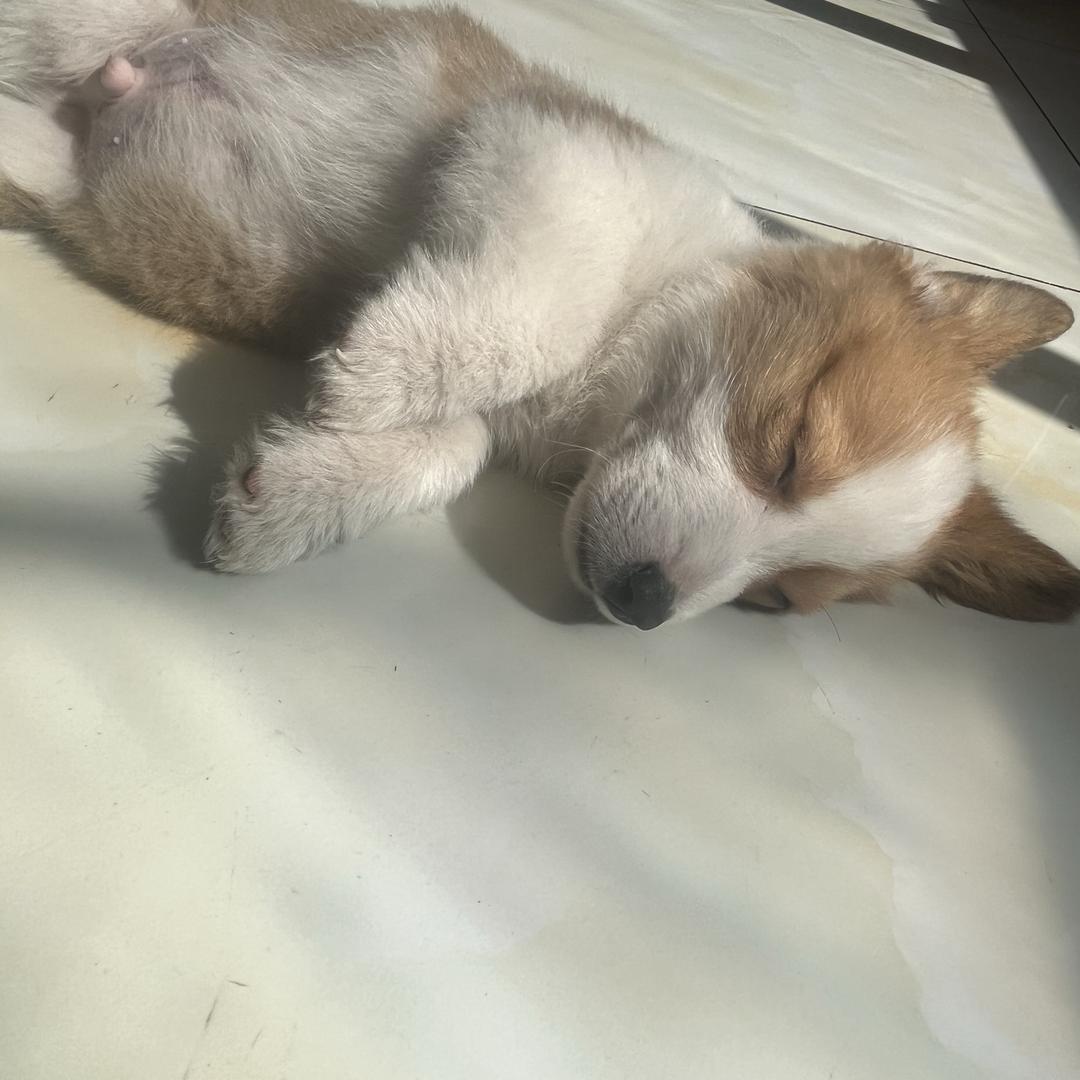 东@@