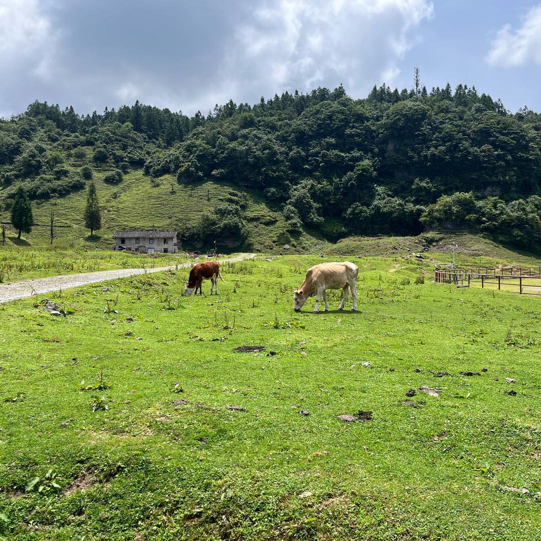 小何才露尖尖角