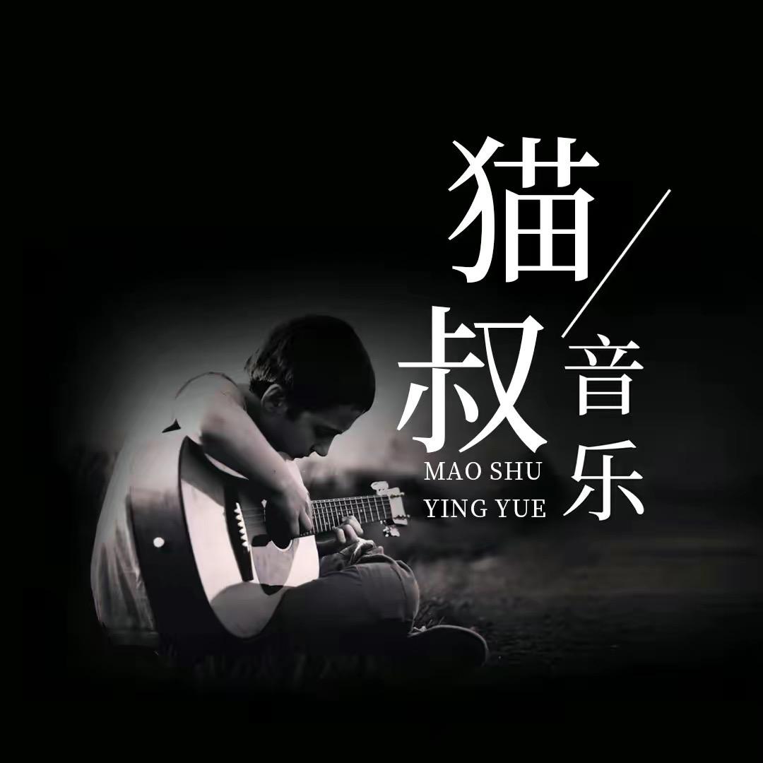 猫叔音乐库(车载U盘)