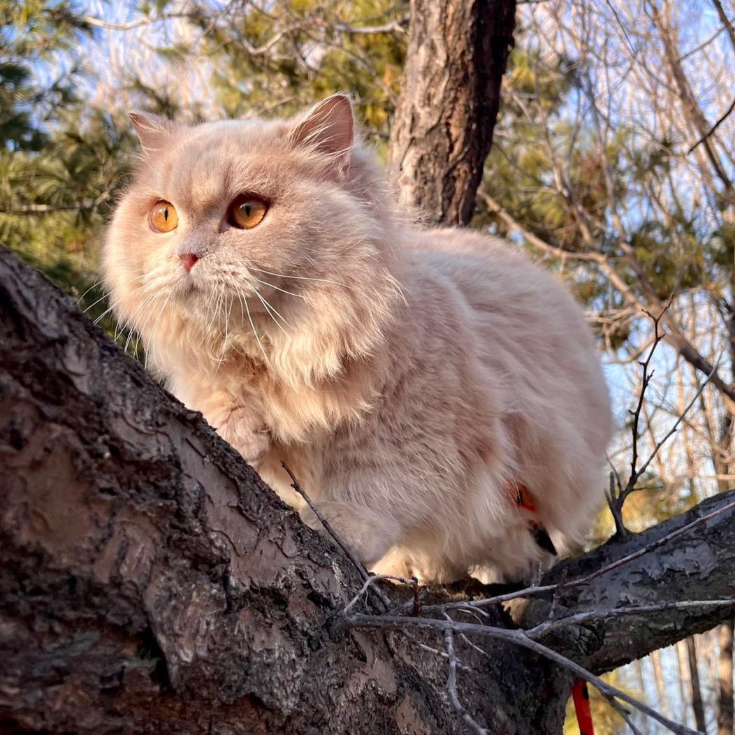 爱钓鱼的摄影师