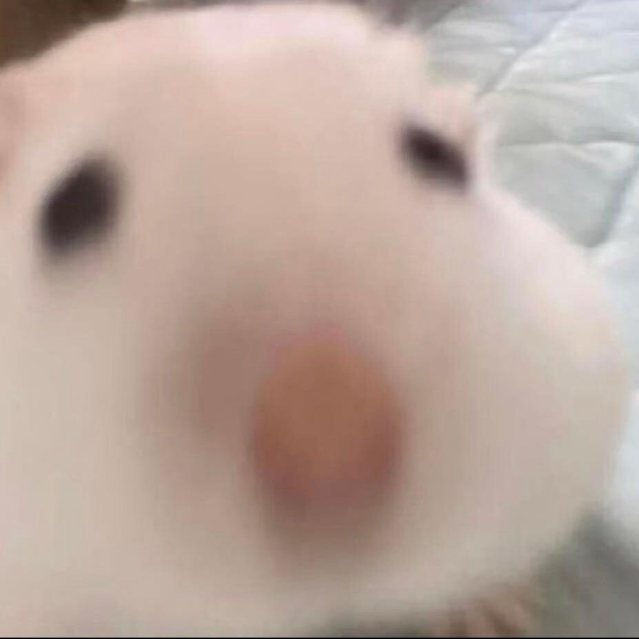 qqyou