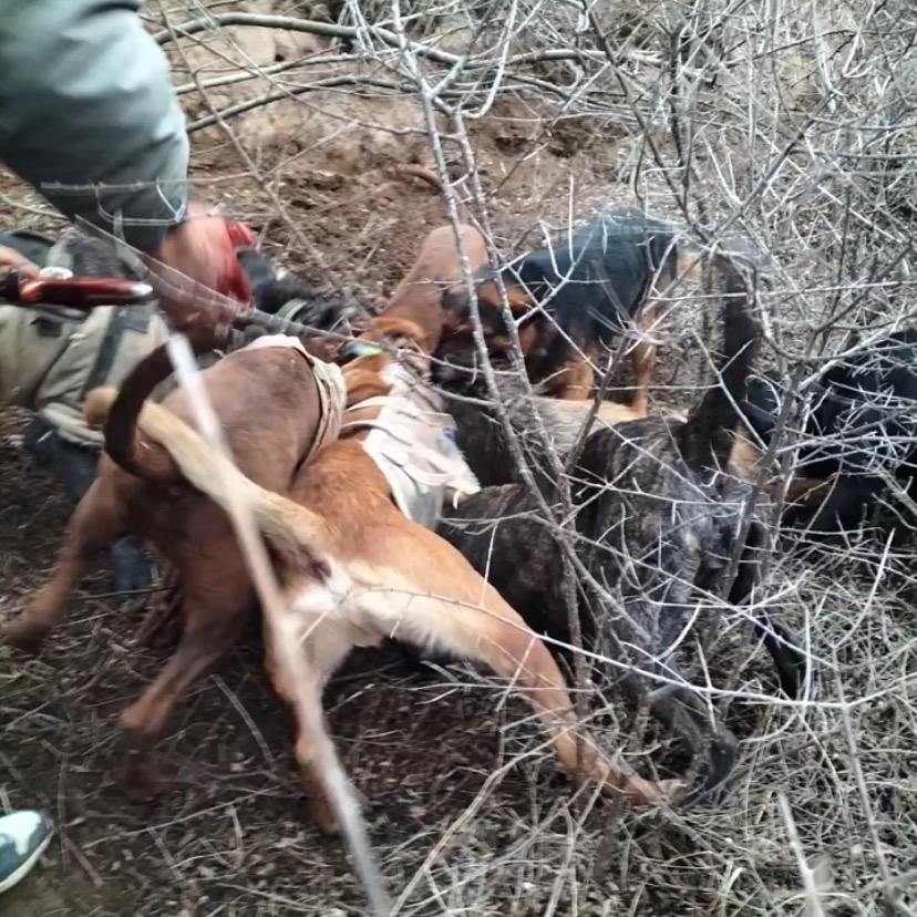 西北护农显禁封号