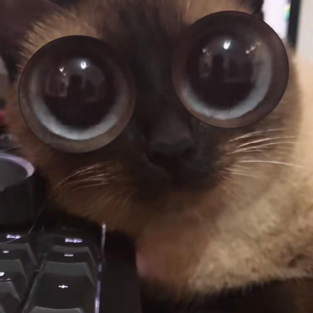 碧桂园大队长@抖音