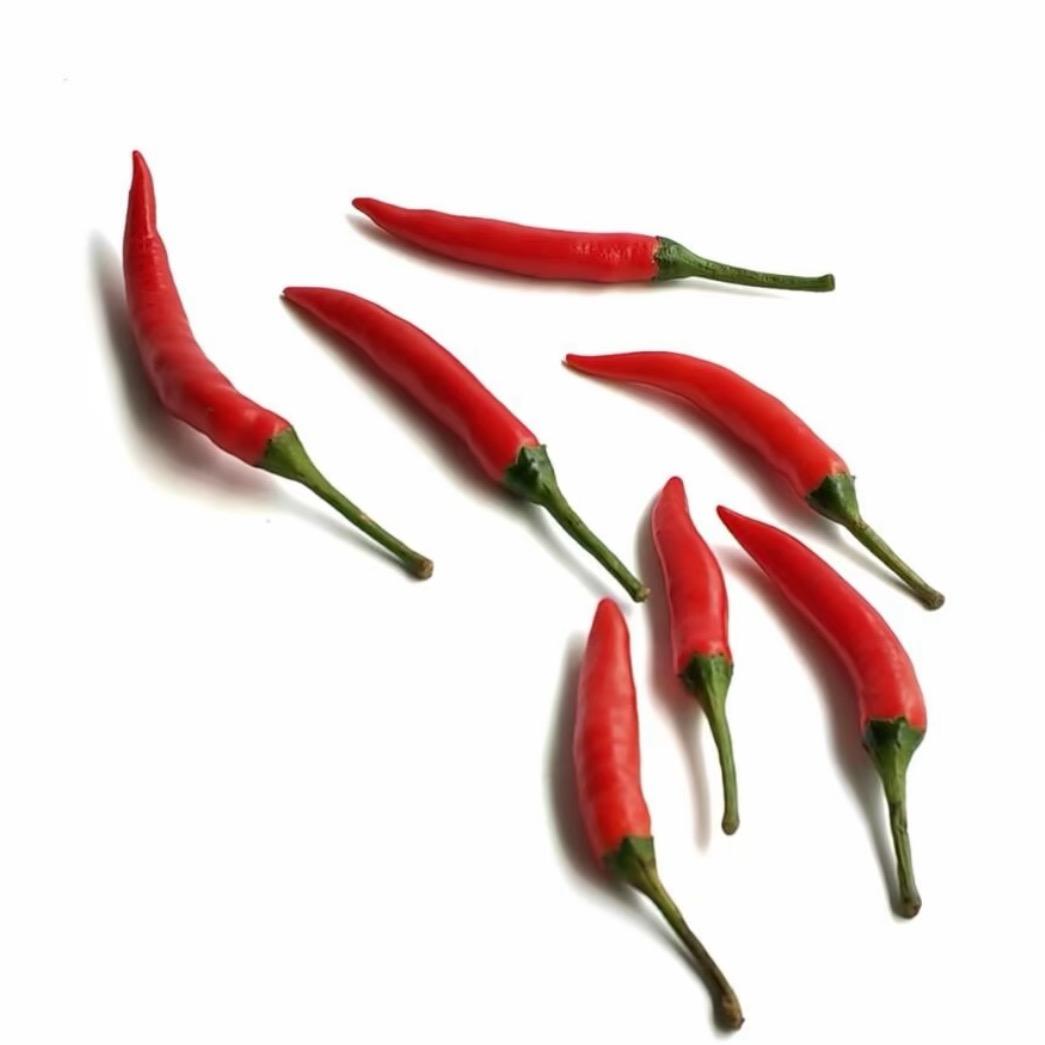 小辣椒.🌶️