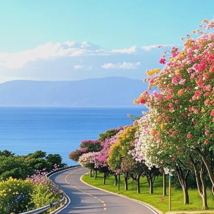 领传传媒-峰峰