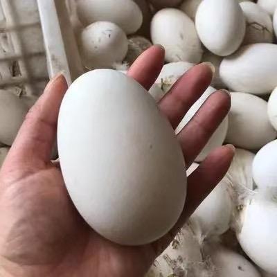 农家产品精品店