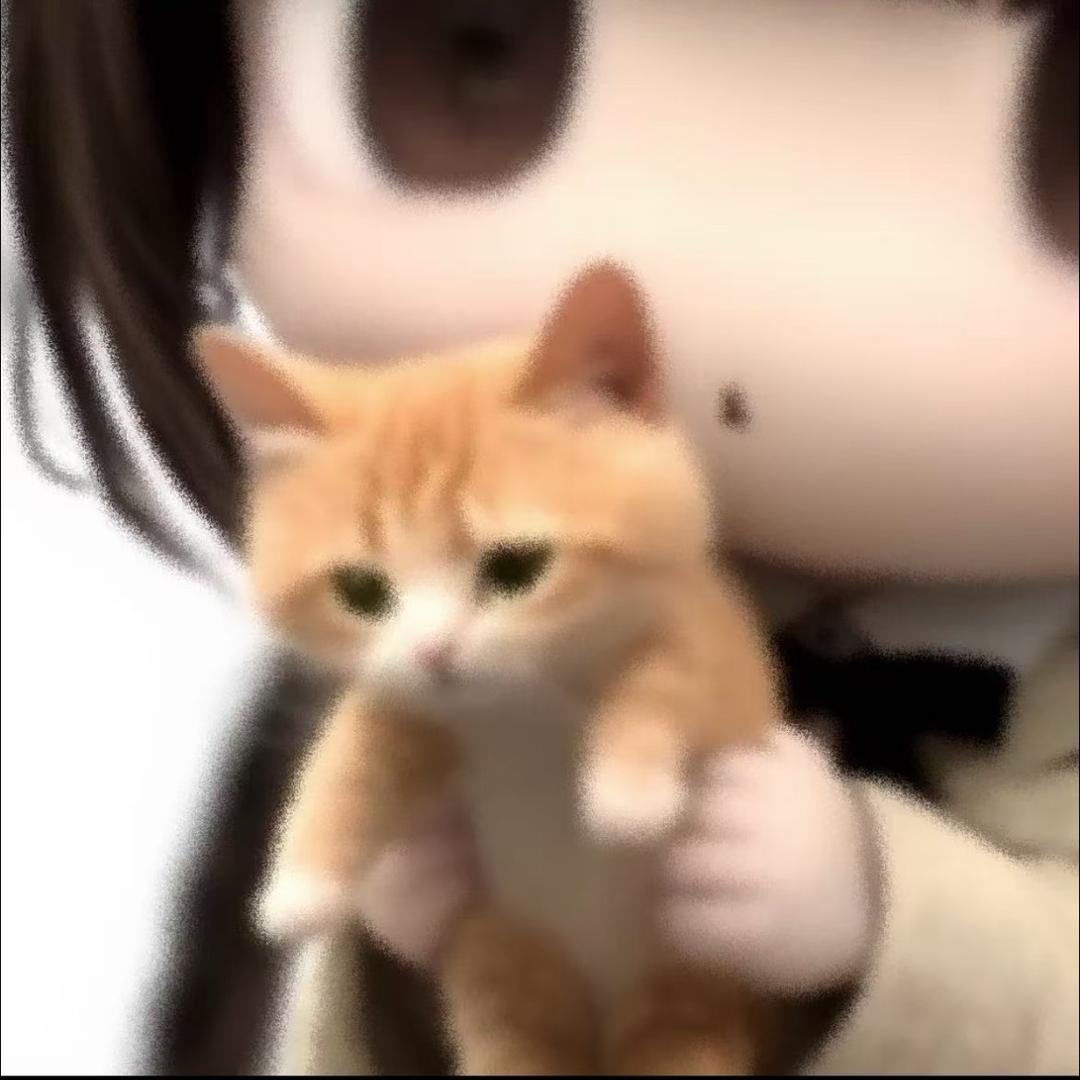 Lzyyyyy
