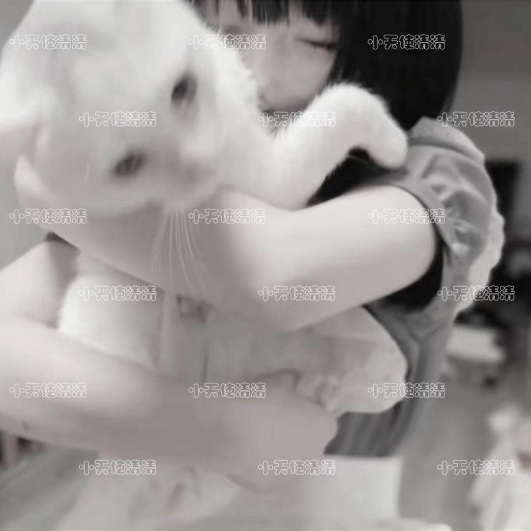 清水（🏠