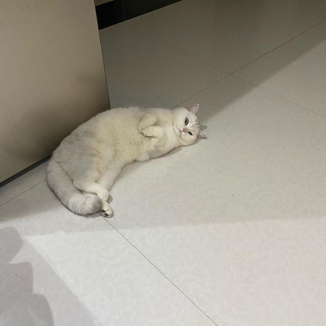 臭臭