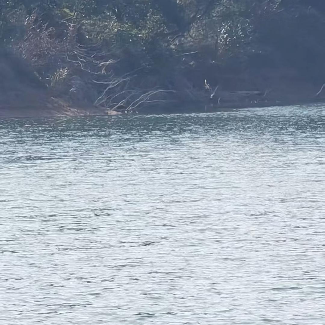 休闲野钓