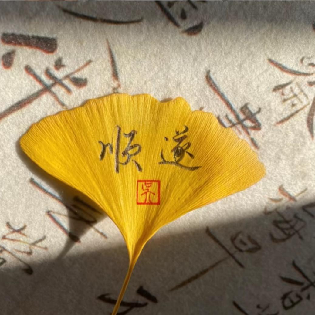 地球没我都不转