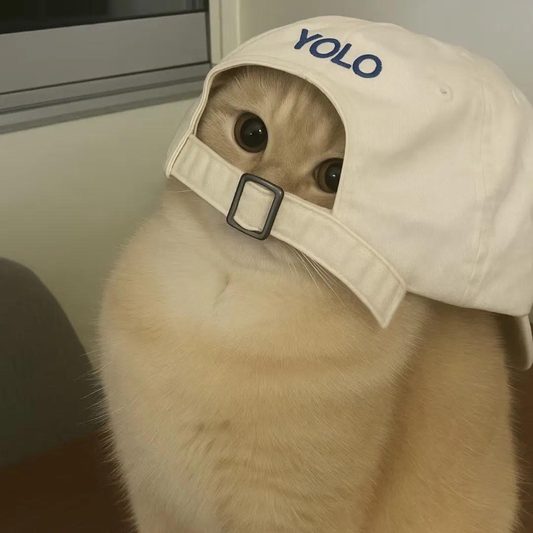 PMSA