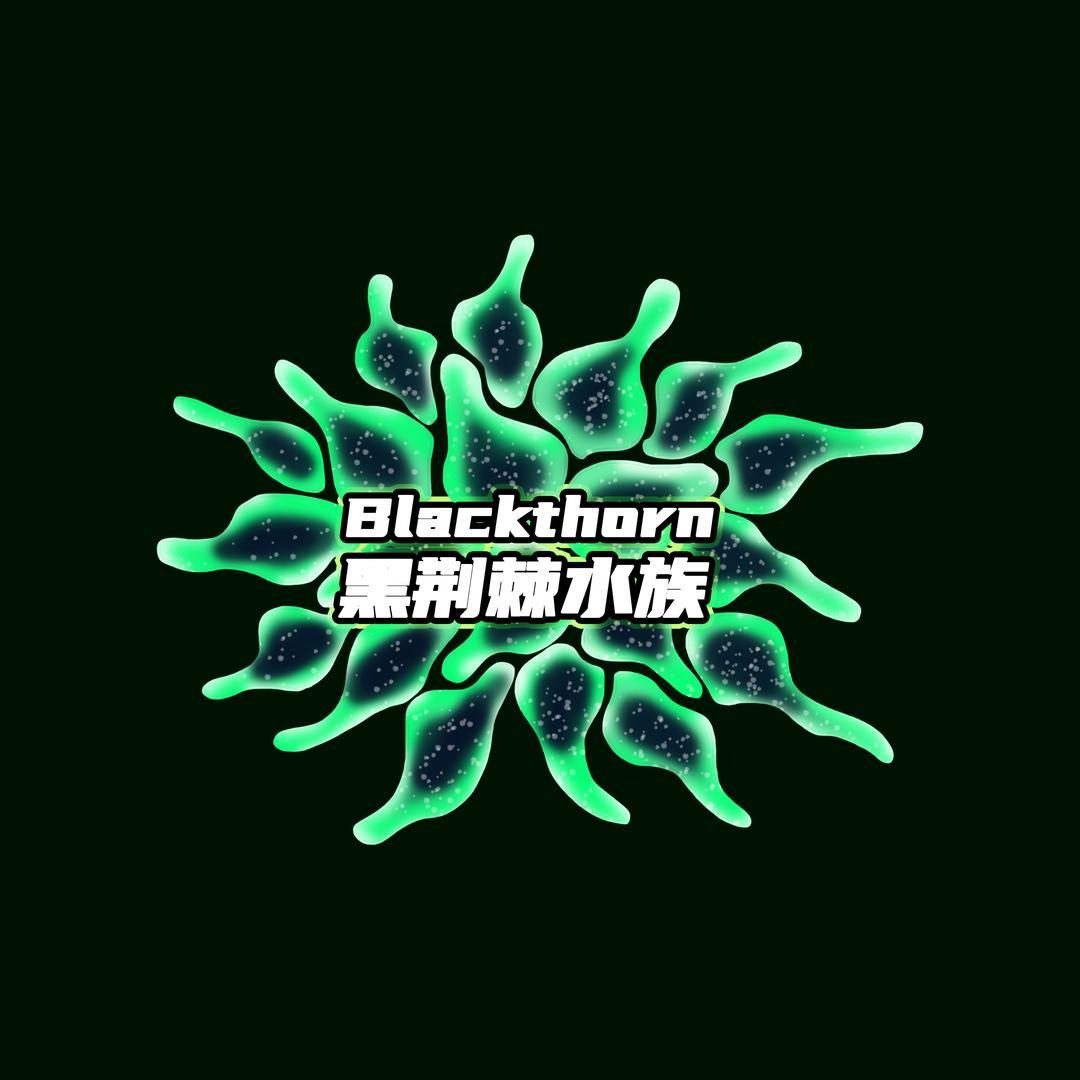 黑荆棘水族