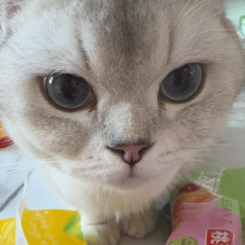 吸吸