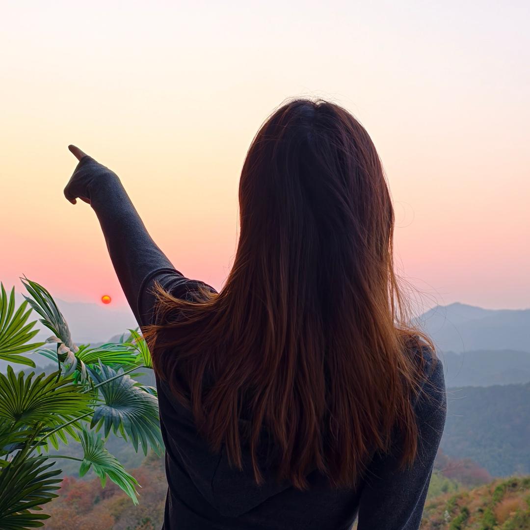 橘子树在哪儿🌲